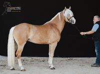 da8c16d1-9dd7-44c6-b13e-0a62abca3756